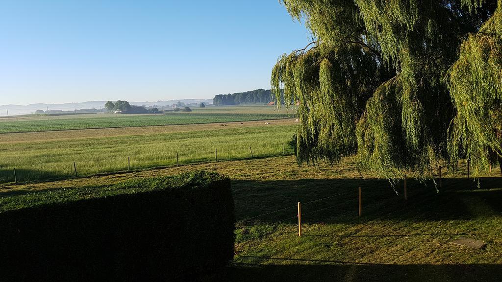 The Cosy Hill Guest House Poperinge Eksteriør bilde